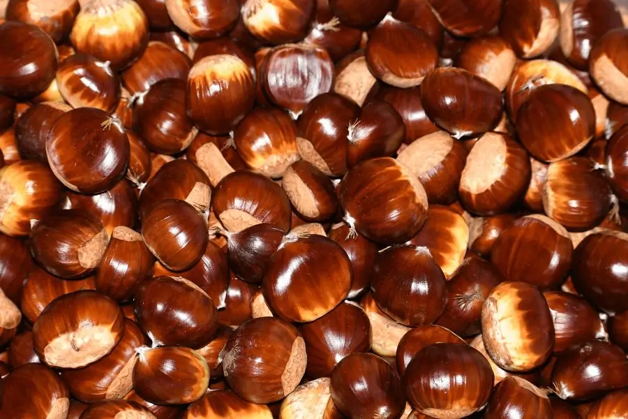 castanhas