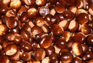 castanhas