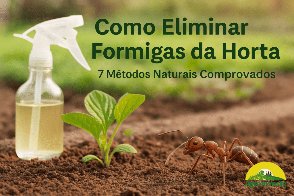 Formigas na horta
