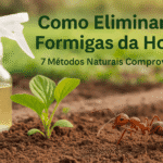 Formigas na horta