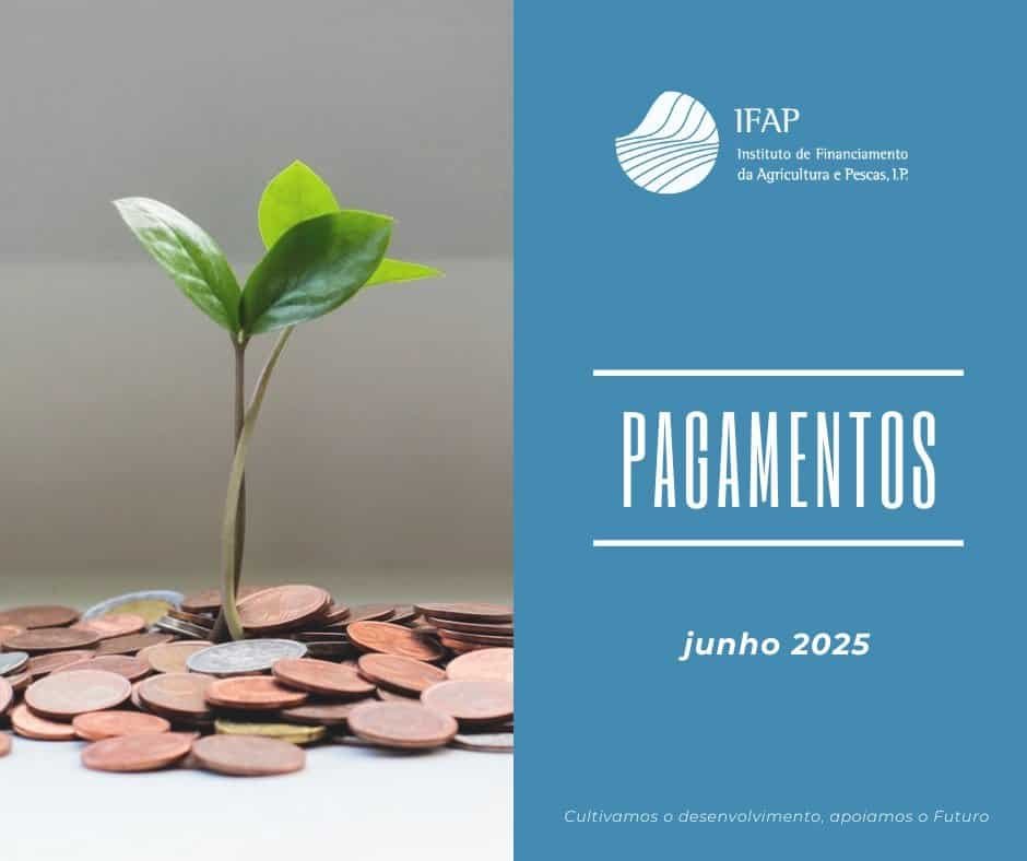 ifap pagamentos