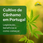 Cultivo de Cânhamo