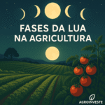Lua Agricultura