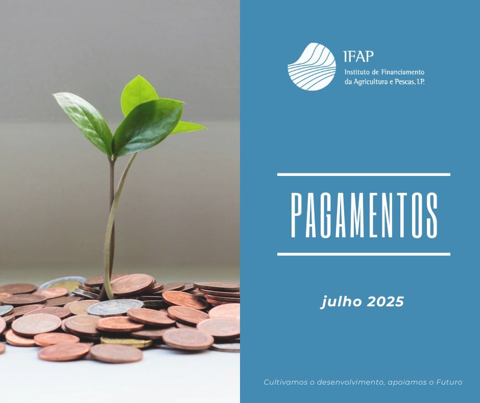 Pagamento IFAP