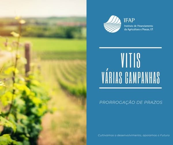 Vitis