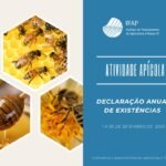 Atividade Apícola