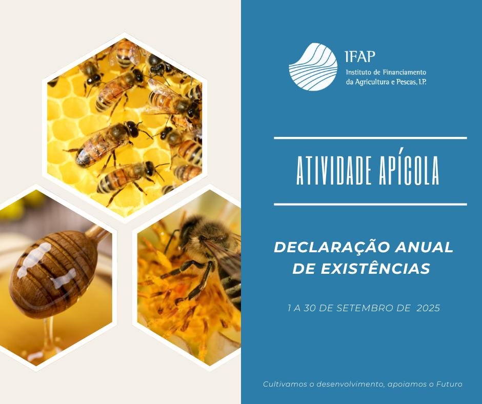 Atividade Apícola