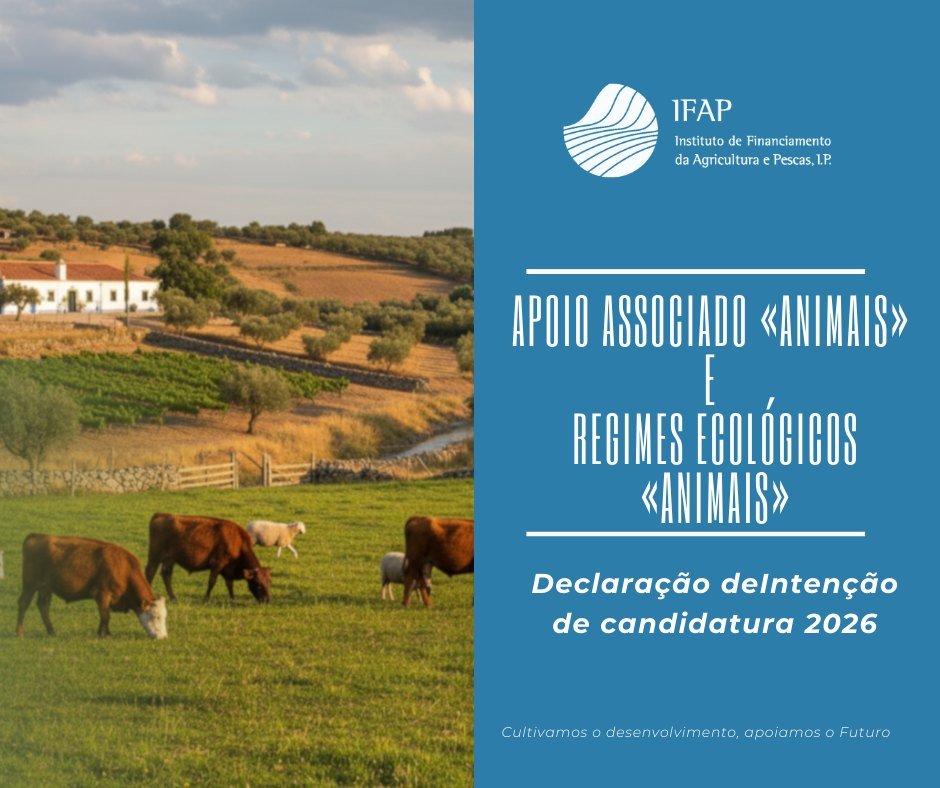 Apoio Animais