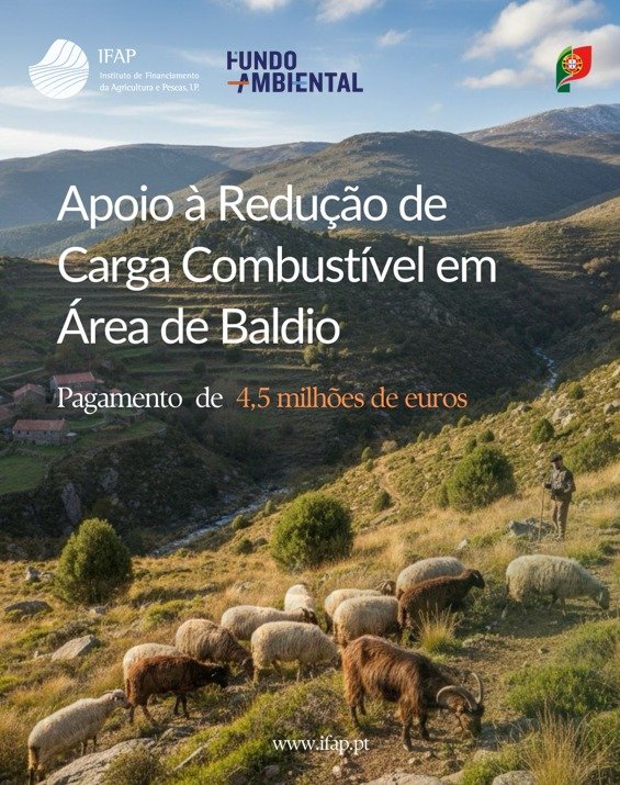 PAGAMENTO DO APOIO À REDUÇÃO DE CARGA COMBUSTÍVEL EM ÁREA DE BALDIO