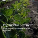 Pagamentos_IFAP_Novembro