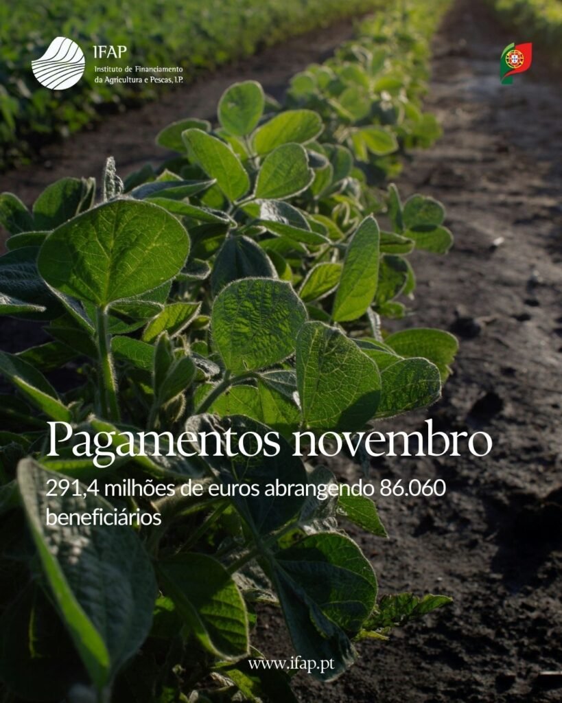 Pagamentos_IFAP_Novembro