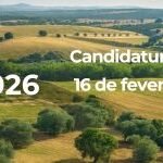 PEDIDO ÚNICO 2026