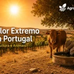 Calor extremo em Portugal: efeitos na agricultura e animais