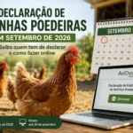 Declaração de galinhas poedeiras em setembro de 2026 através do AviDec
