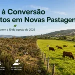 Apoio à Conversão de Matos em Novas Pastagens 2026