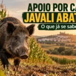 Apoio por cada javali abatido em Portugal – Governo prepara novo incentivo para caçadores