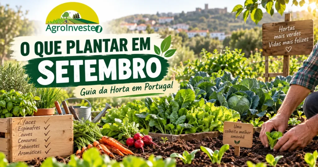 O que plantar em setembro em Portugal na horta