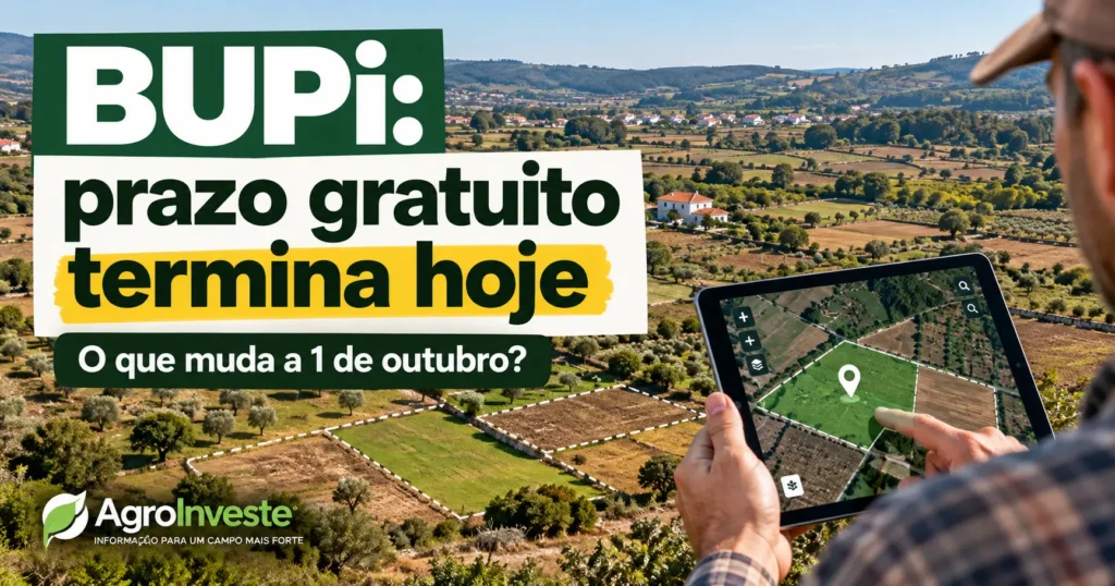 BUPi 2026: prazo gratuito para registar terrenos termina a 30 de setembro